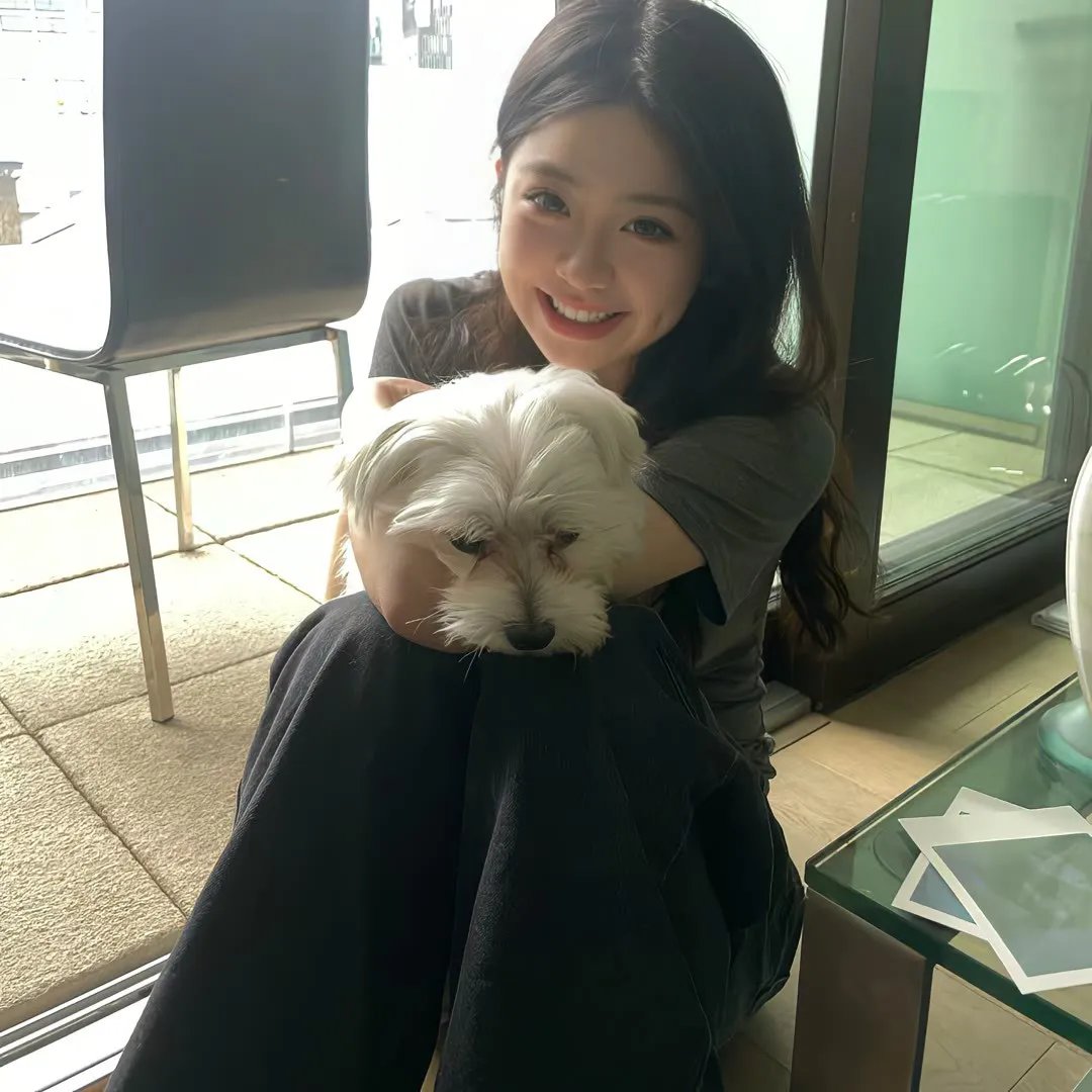 中餐厅第六季